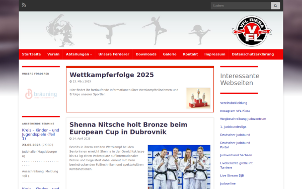 www.vflriesa.de