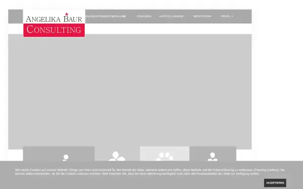 angelika-baur-consulting.de