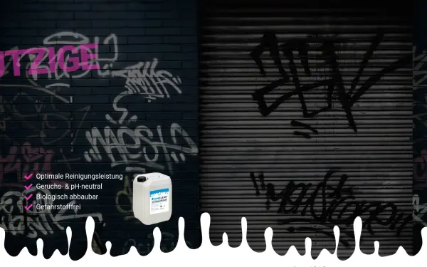 graffiticlean.de