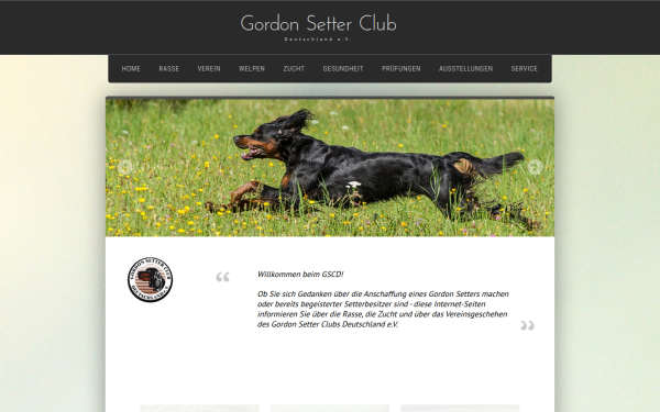 gordon-setter.de