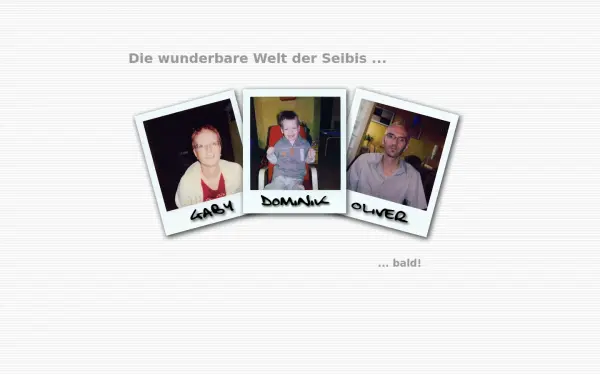 die-seibis.de