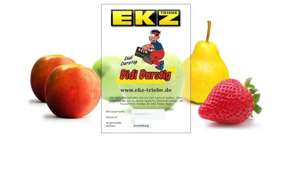 dididurstig.de