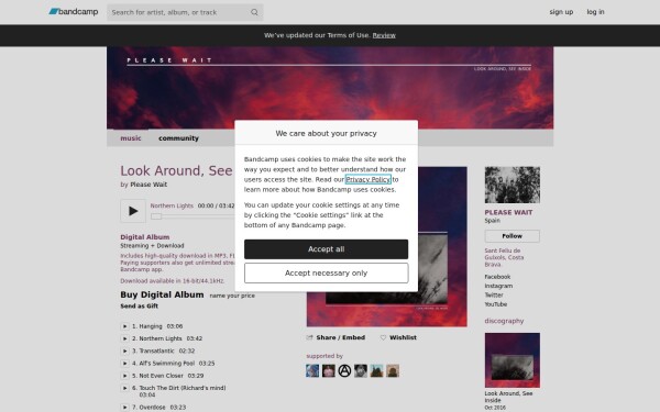 pleasewaitband.bandcamp.com