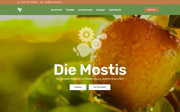 die-mostis.de