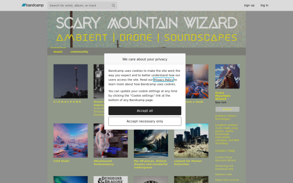 scarymountainwizard.bandcamp.com