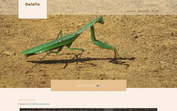 delafin.de