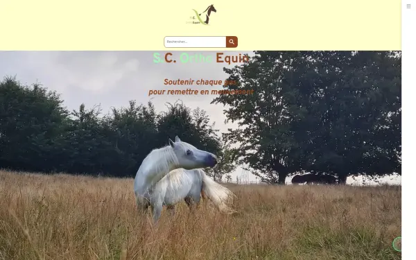 www.scorthoequin.com