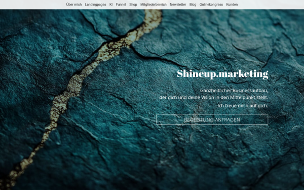 shineup.marketing