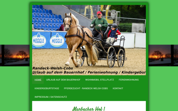 www.randeck-welsh-cobs.de