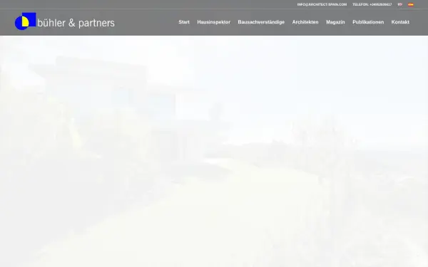 buehler-and-partners.com