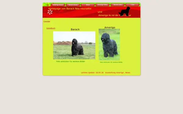 baracks-hundetagebuch.de