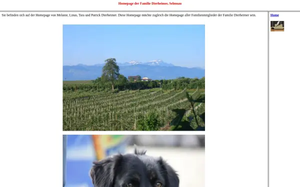 dierheimer.de