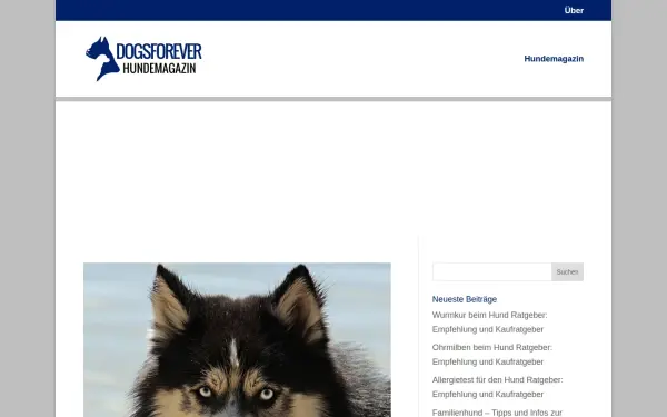 dogsforever.de