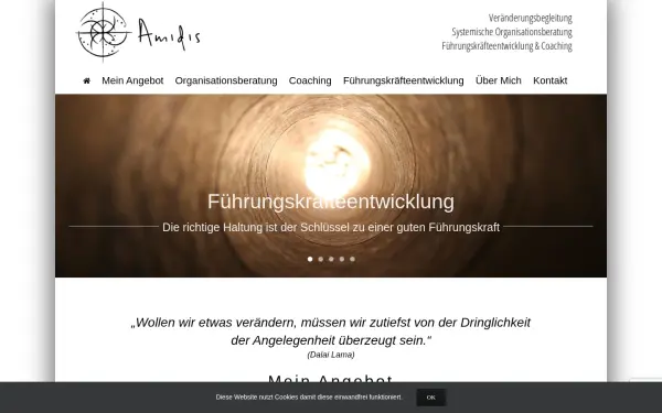 www.amidis.de