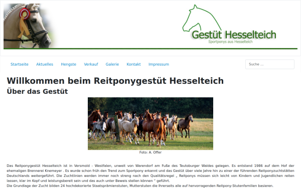 gestuet-hesselteich.de
