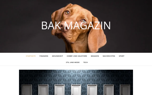 bak-magazin.at