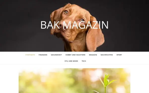 bak-magazin.at
