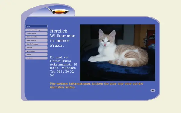 akupunktur-ohne-nadeln.de