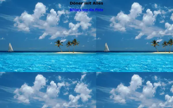 doener-mit-alles.de
