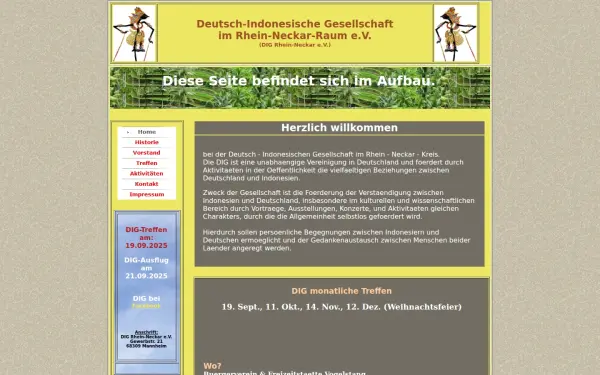 dig-rheinneckar.de