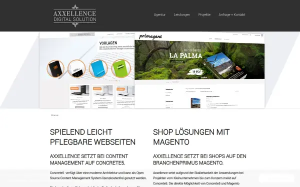 www.axxellence.de