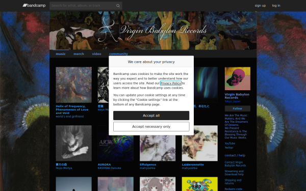 virginbabylonrecords.bandcamp.com