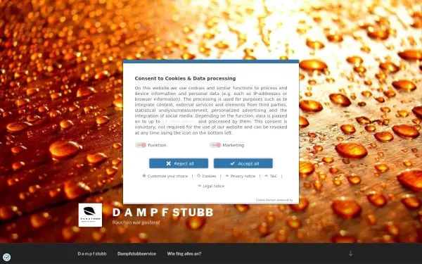 dampfstubb.info