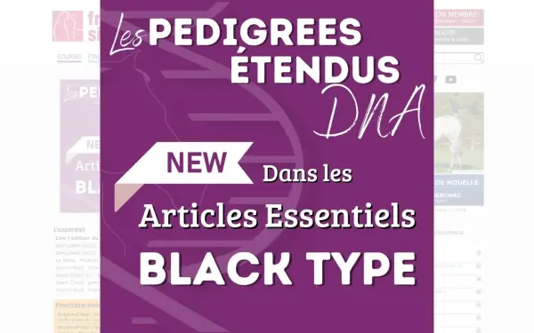 www.france-sire.com
