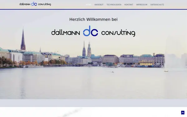 dallmann-consulting.de