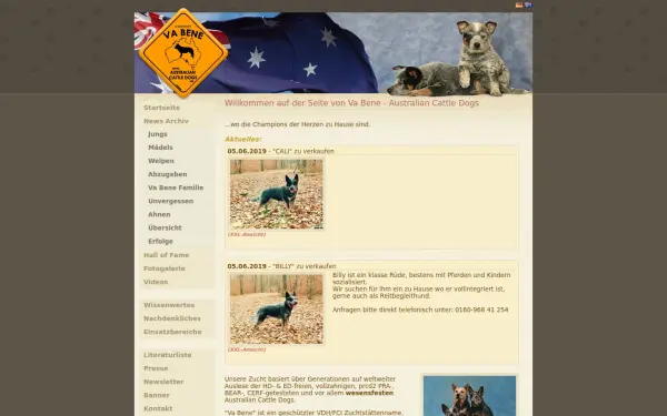 www.cattledog.de