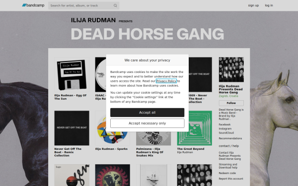 ilijarudmanmusic.bandcamp.com
