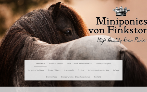 www.roanponiesaustria.at