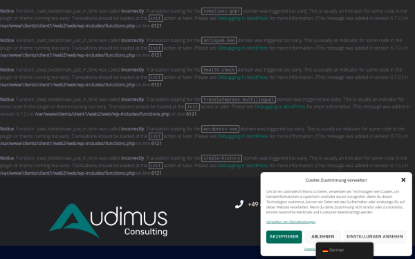 audimus.consulting