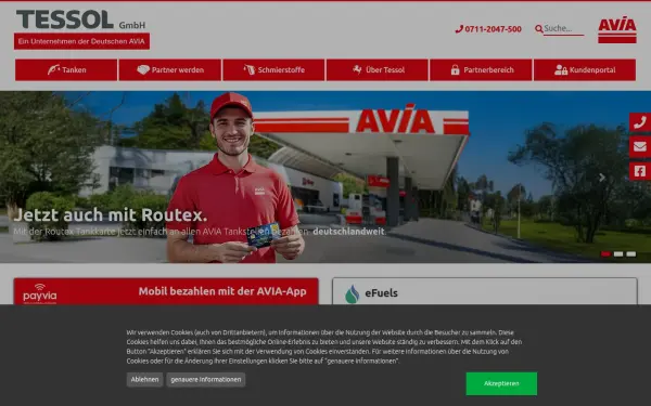 www.tessol.de