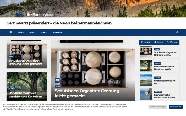 hermann-levinson.de