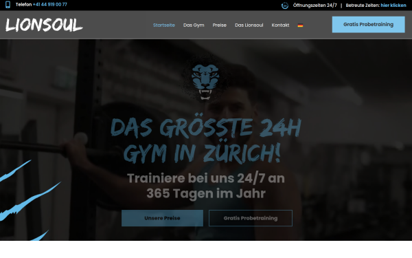 www.lionsoul.ch