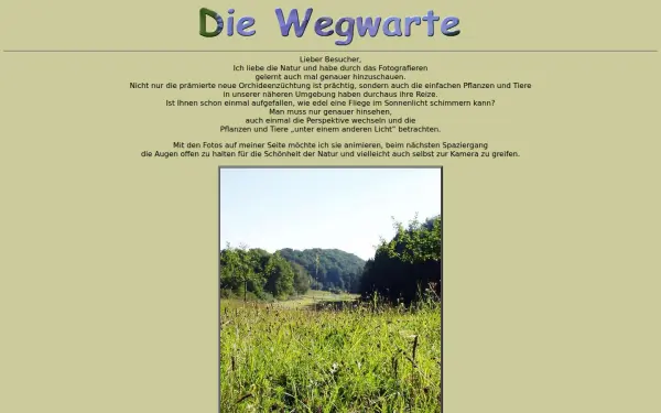 diewegwarte.de