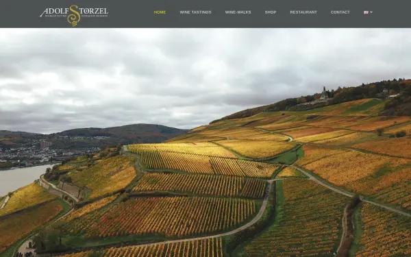 weingut-adolf-stoerzel.de