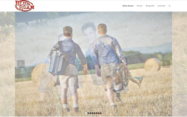 www.blum-buam.de