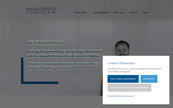 www.baldensperger-consulting.de