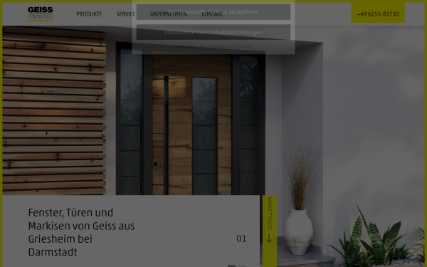 www.geissgmbh.de