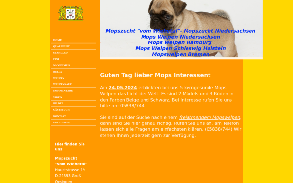 www.mopszucht-nds.de