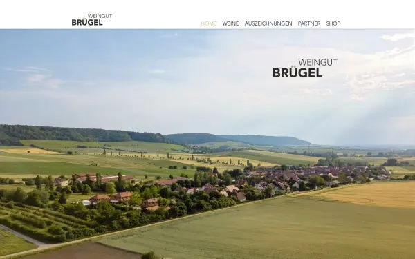 www.weingut-bruegel.de