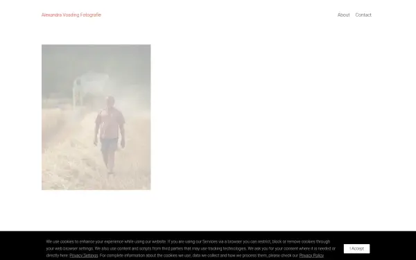 www.alexandra-vosding.de
