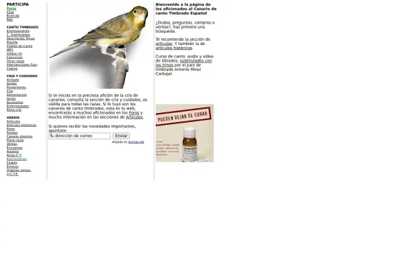 timbrado.com