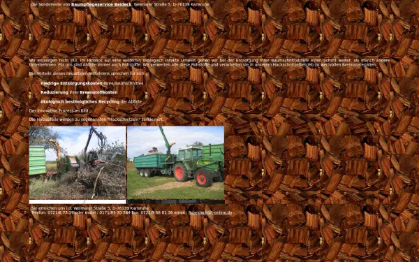 hackschnitzel-karlsruhe.de