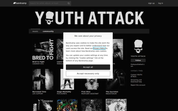 youthattack.bandcamp.com