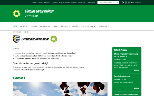 gruene-wiesloch.de