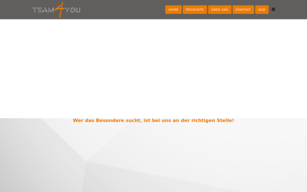 team4you.co.at