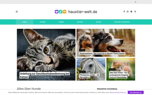 haustier-welt.de
